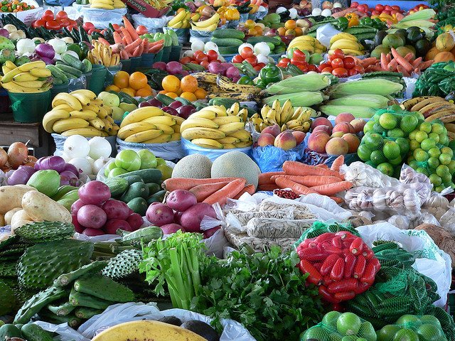 Food Security Bill – A Mirror of Indian Economic Development