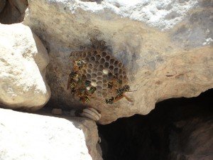 Success – Luck and Achievement